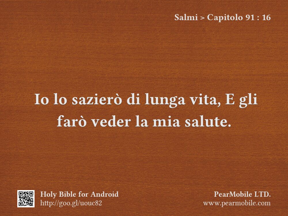 Salmi, Capitolo 91:16